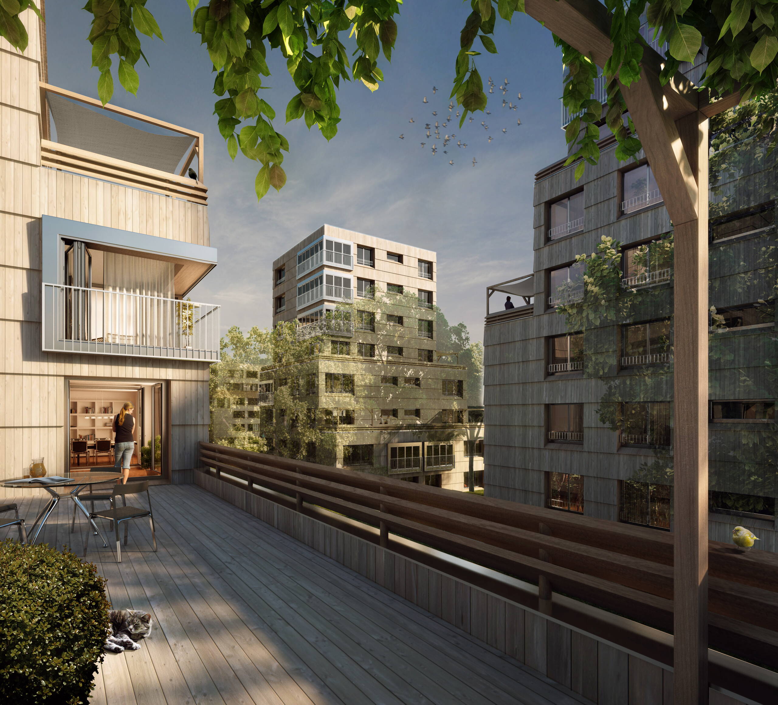 Wettbewerbsvisualisierungen, Wohnsiedlung Luegisland, Architekturvisualisierungen, 3D Rendering
